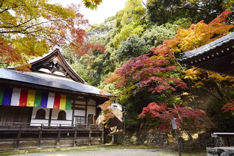 神峰山寺|【神峯山寺】アクセス・営業時間・料金情報